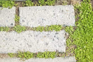 船江の家　木造建築　戸建住宅　愛知県安城市　三重県伊勢市